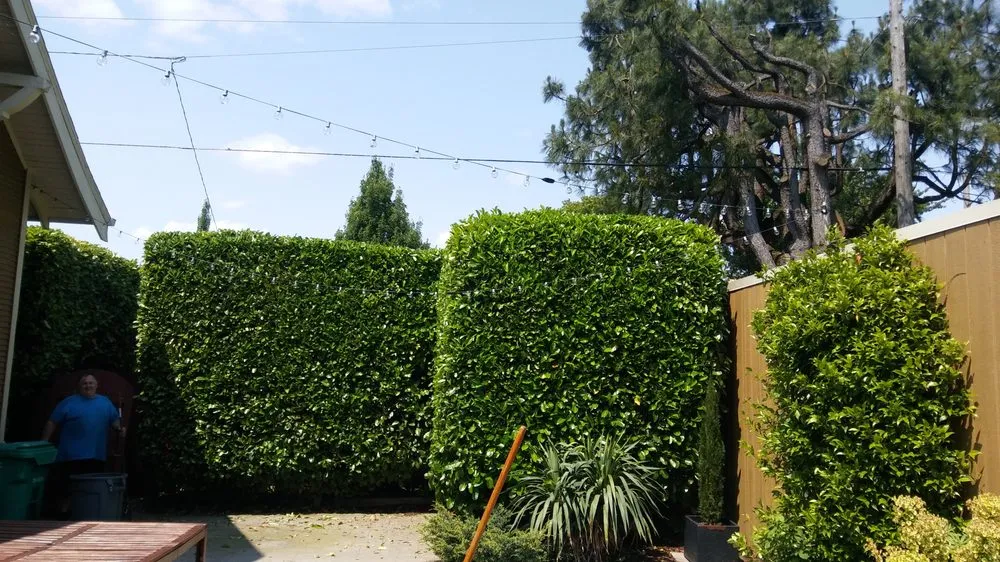Local garden landscaping for year-round maintenance across Portland, OR - Inside Out Landscape Maintenance Services