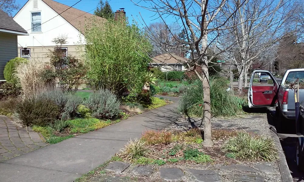 Local yard maintenance in Portland, OR by Inside Out Landscape Maintenance Services