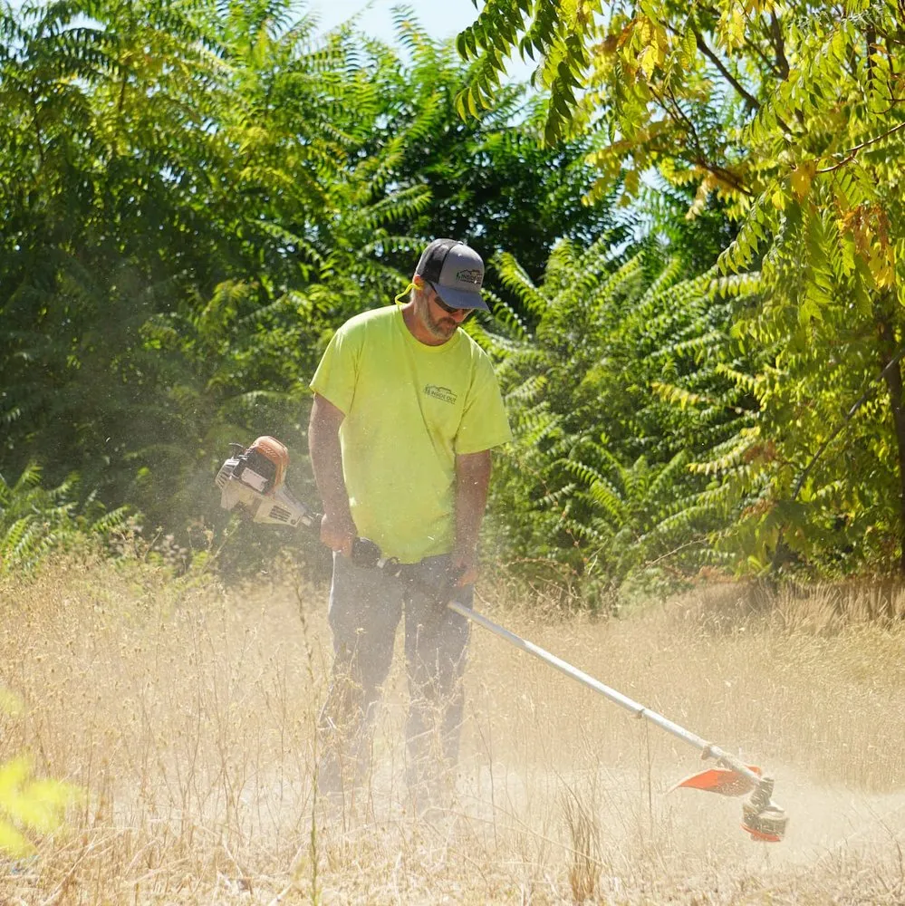 Reliable lawn care service near you across Chico, CA - Inside Out Landscaping & Janitorial