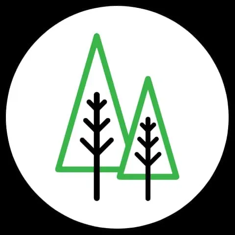 Professional yard cleanup service in Chico, CA by Inside Out Landscaping & Janitorial