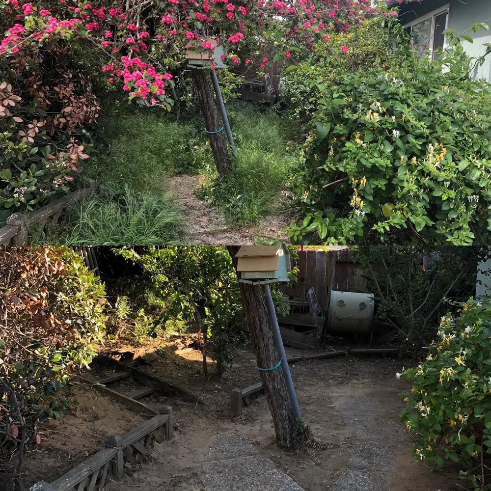 Trusted yard cleanup service for year-round maintenance in South San Francisco, CA by Inside Out Landscaping