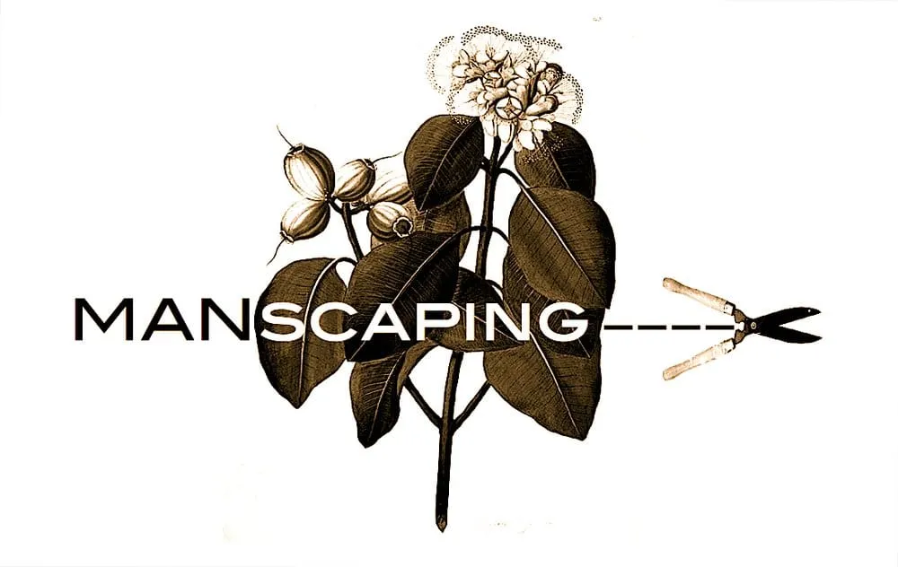 Top-rated landscape design experts serving South San Francisco, CA - Inside Out Landscaping