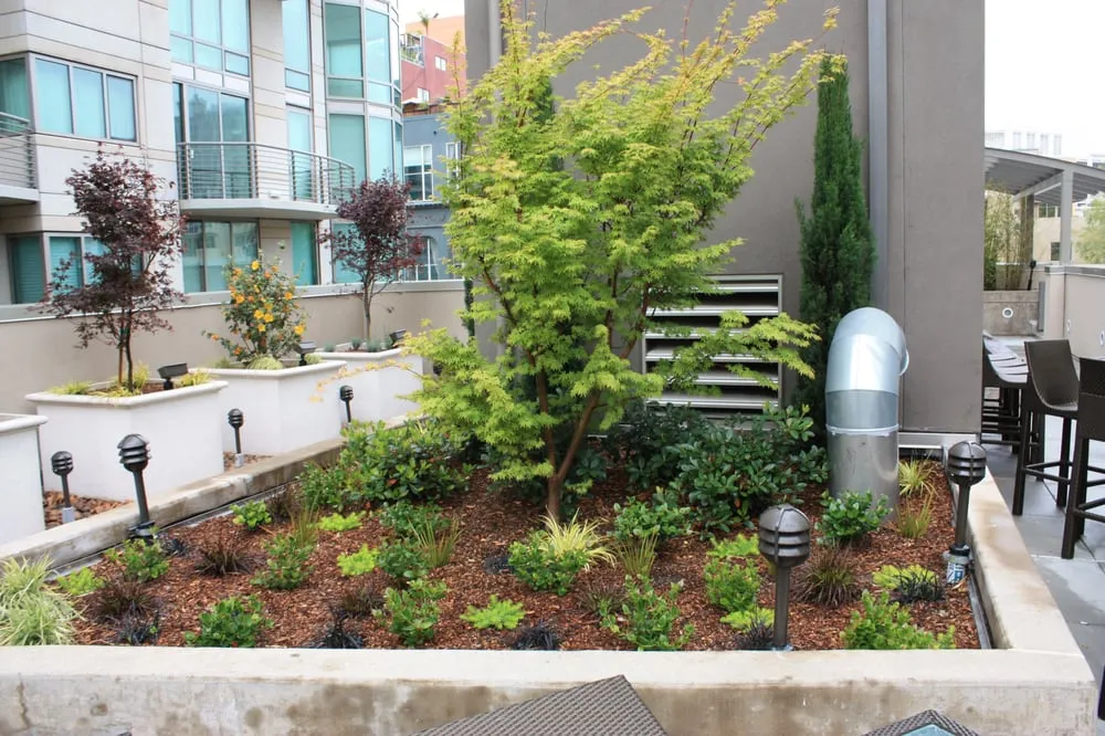 Expert yard maintenance in South San Francisco, CA - Inside Out Landscaping