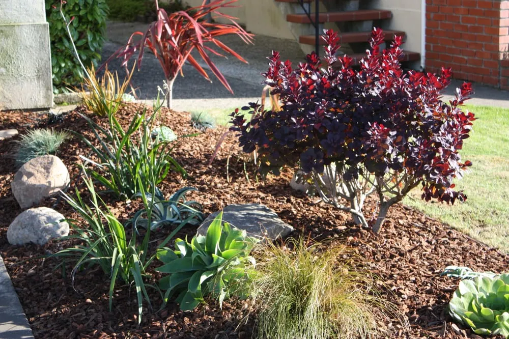 Local landscape installation in South San Francisco, CA by Inside Out Landscaping
