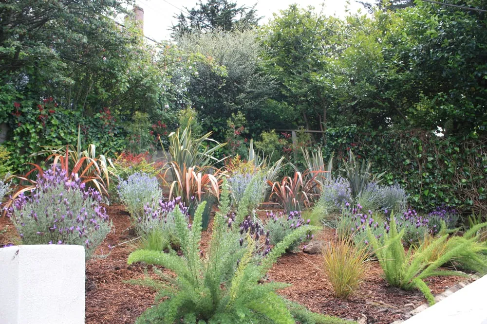 Affordable garden landscaping in South San Francisco, CA by Inside Out Landscaping