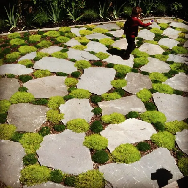 Local landscape design in South San Francisco, CA - Inside Out Landscaping