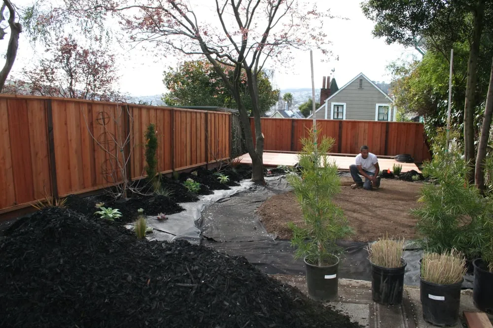 Affordable lawn care service in South San Francisco, CA - Inside Out Landscaping