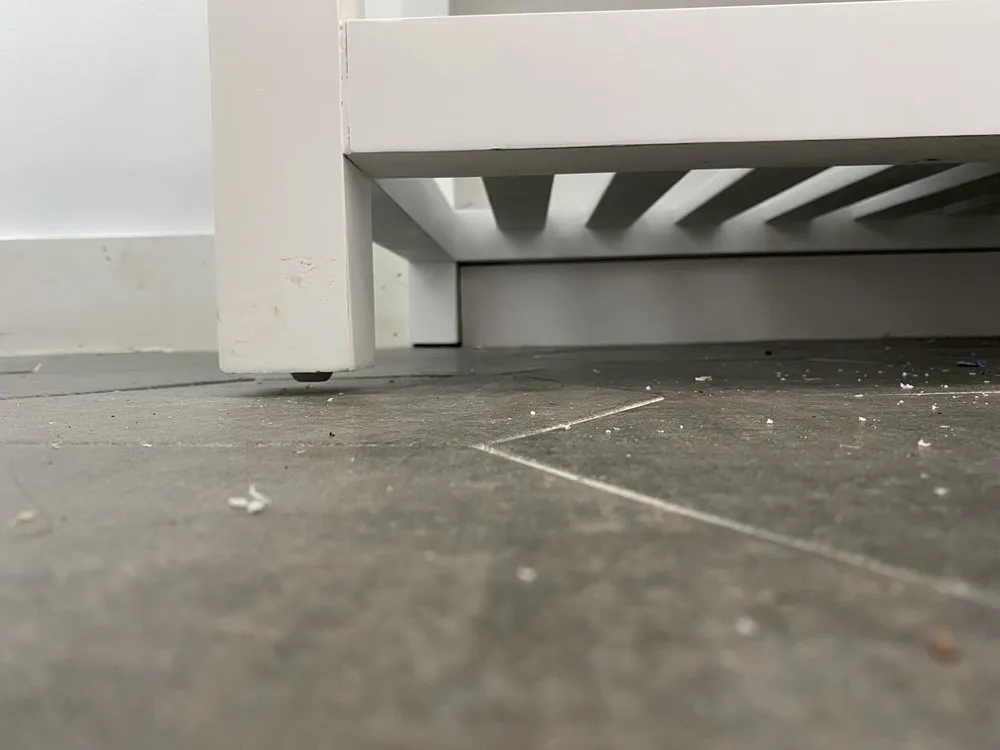 Local landscape design for homes across San Leon, TX - Inside Outdoor