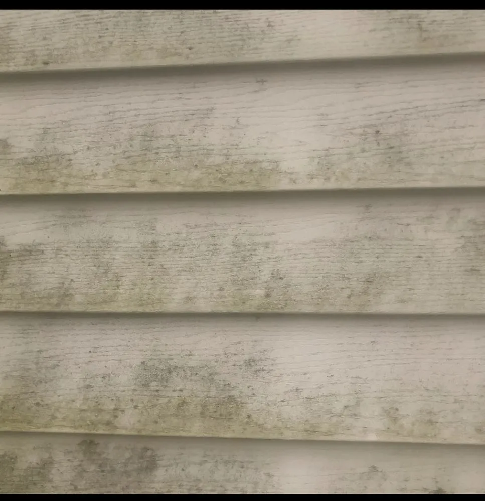 Professional residential landscaping experts serving Lebanon, IN - Inside Outside Chores