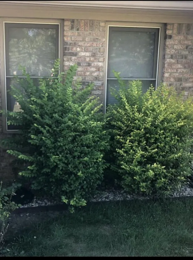 Professional outdoor landscaping for residential properties across Lebanon, IN - Inside Outside Chores