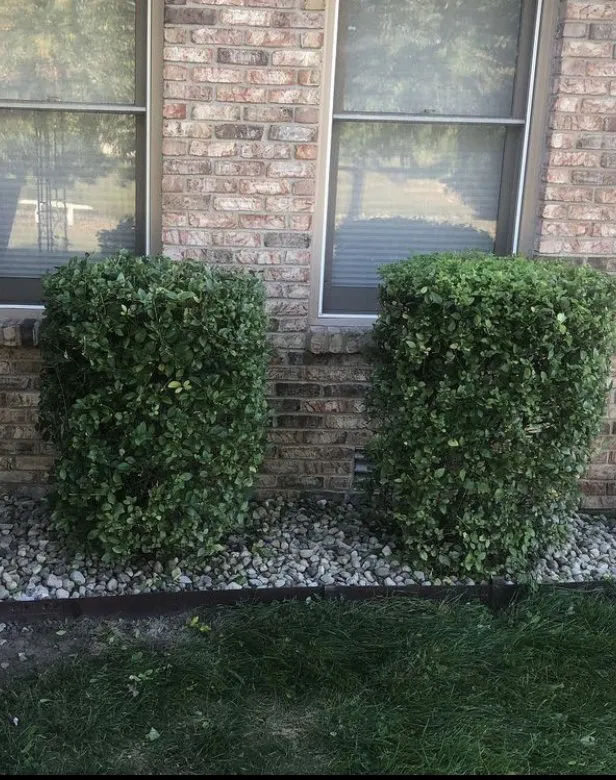 Trusted landscaping services experts serving Lebanon, IN - Inside Outside Chores