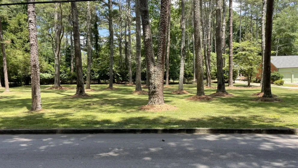 Expert landscaping services with custom design in College Park, GA by Inside The Grind 365