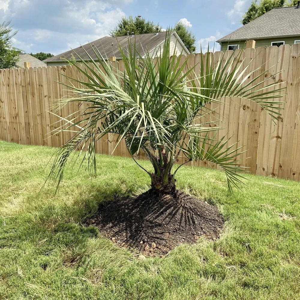 Local residential landscaping in College Park, GA by Inside The Grind 365