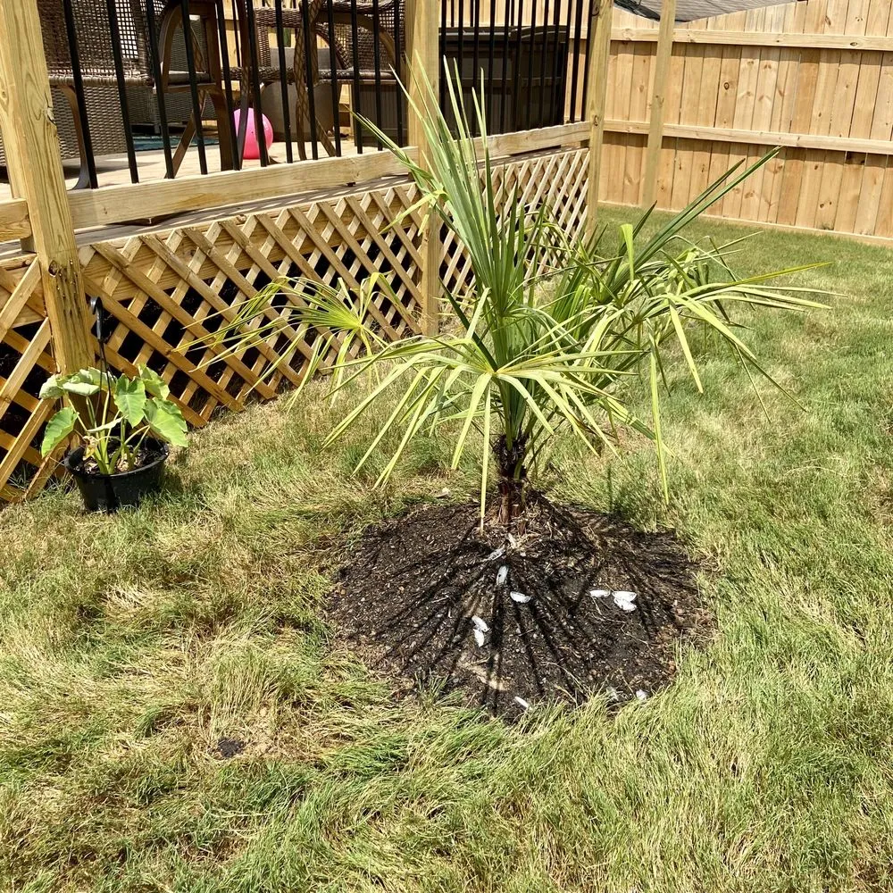 Reliable lawn care service with custom design across College Park, GA - Inside The Grind 365