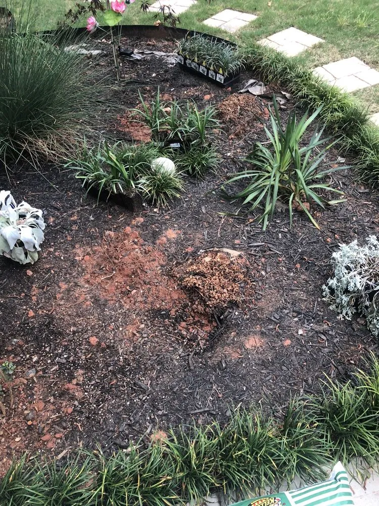 Expert yard maintenance for residential properties across College Park, GA - Inside The Grind 365