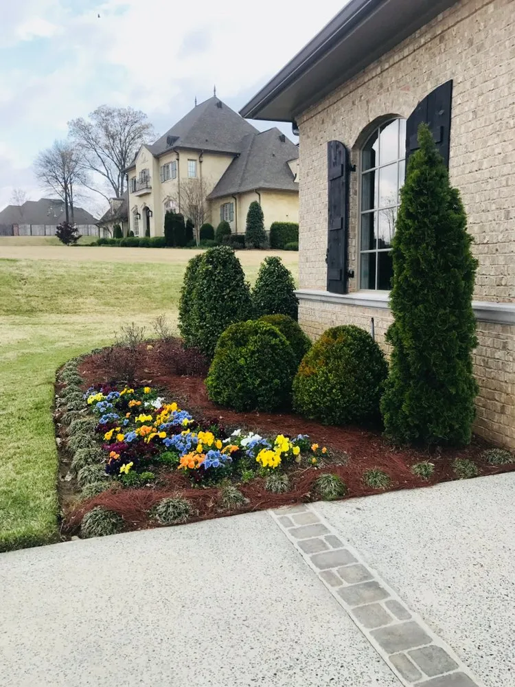 Reliable yard maintenance for homes in Cordova, TN by InsideOut Creations