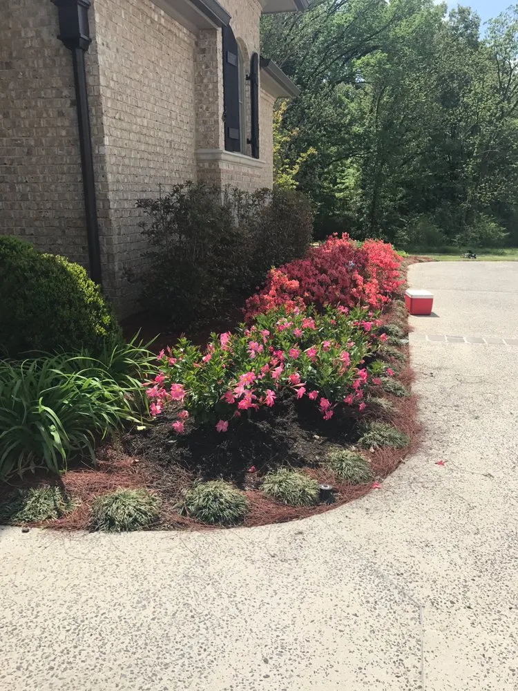 Professional yard cleanup service experts serving Cordova, TN - InsideOut Creations