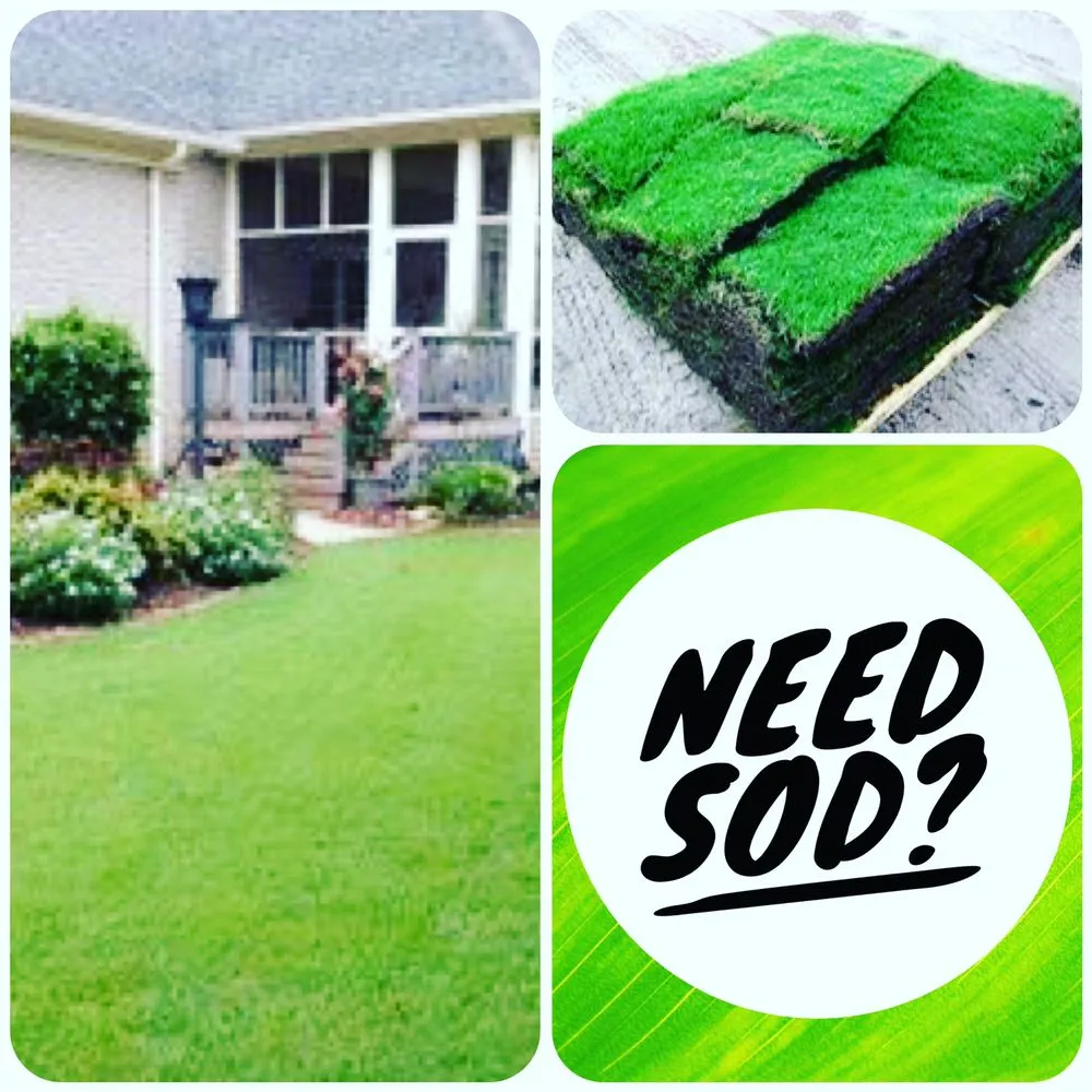 Custom outdoor landscaping for outdoor upgrades across Cordova, TN - InsideOut Creations