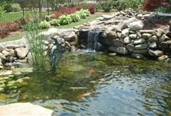 Affordable landscape installation experts serving Elk Grove, CA - Insight Builders