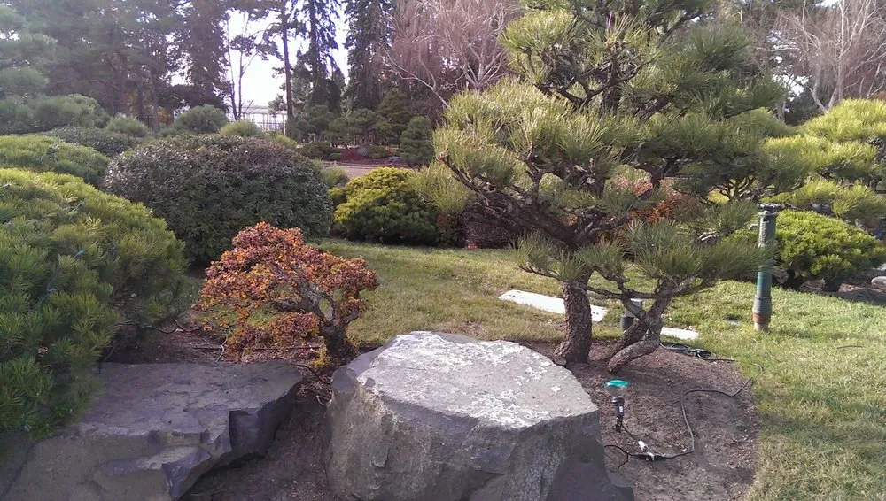 Expert yard cleanup service for homes in Edgewood, WA by Insight Landscape