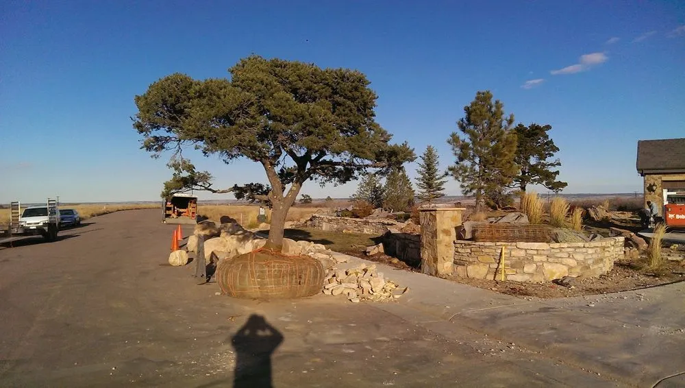 Professional landscape installation in Edgewood, WA - Insight Landscape