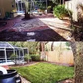 Local landscaping services experts serving Tampa, FL - Insignia Landscape