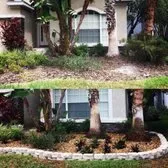Custom landscape installation in Tampa, FL by Insignia Landscape