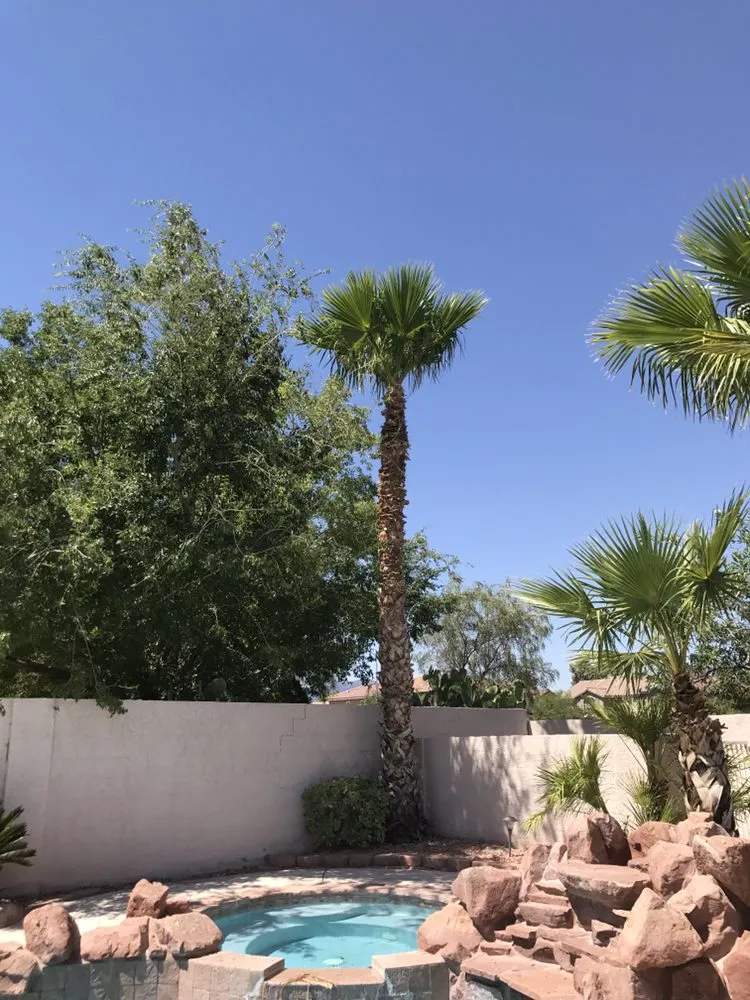 Reliable landscaping services experts serving Henderson, NV - Inspirada Landscaping