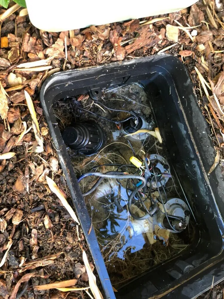 Top-rated residential landscaping in Henderson, NV - Inspirada Landscaping