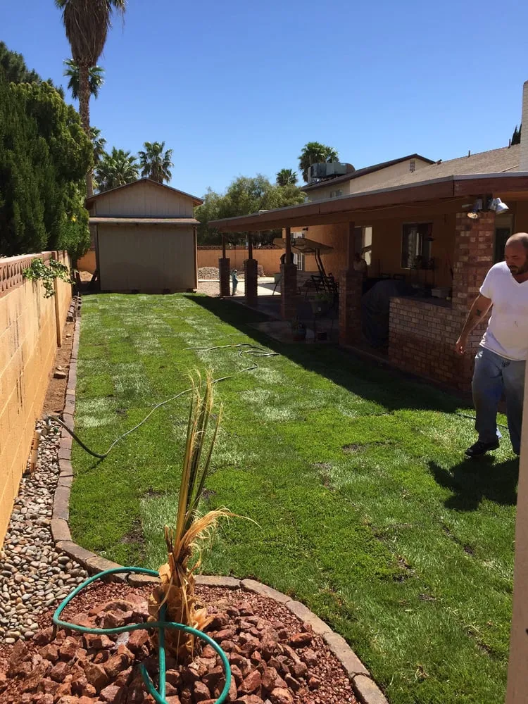 Affordable landscape design in Henderson, NV - Inspirada Landscaping