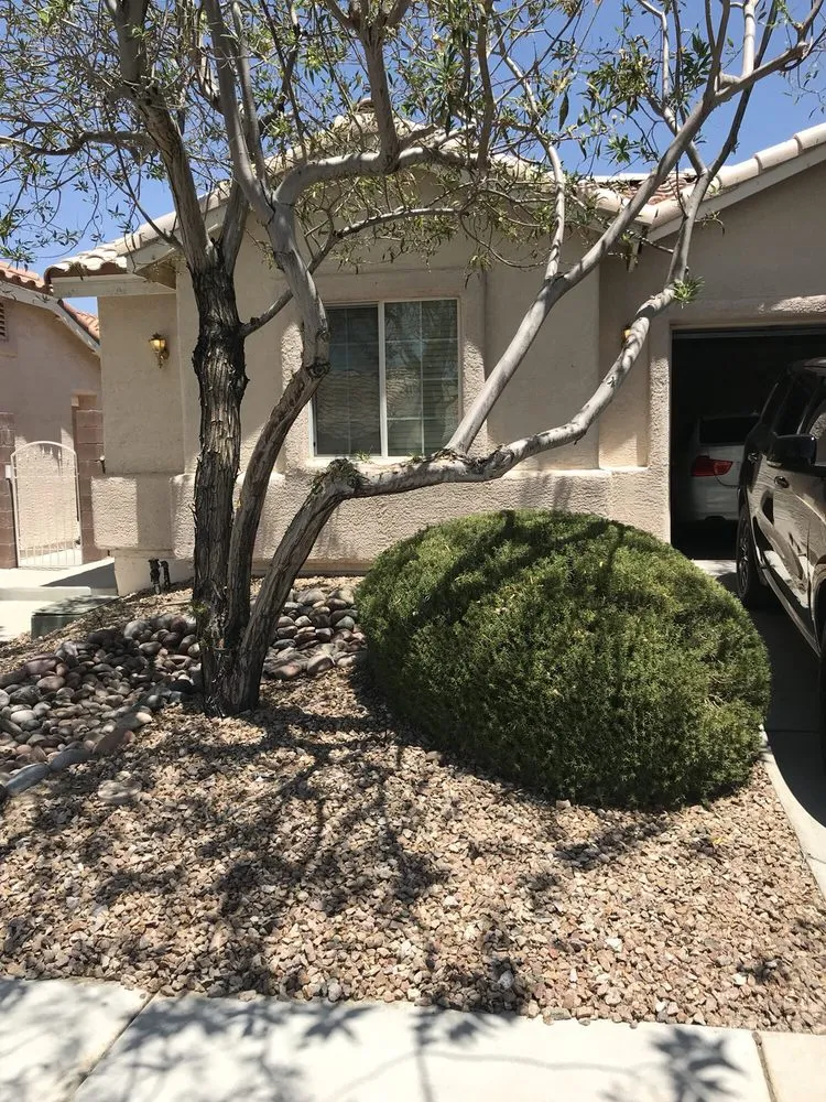 Trusted garden landscaping near you across Henderson, NV - Inspirada Landscaping