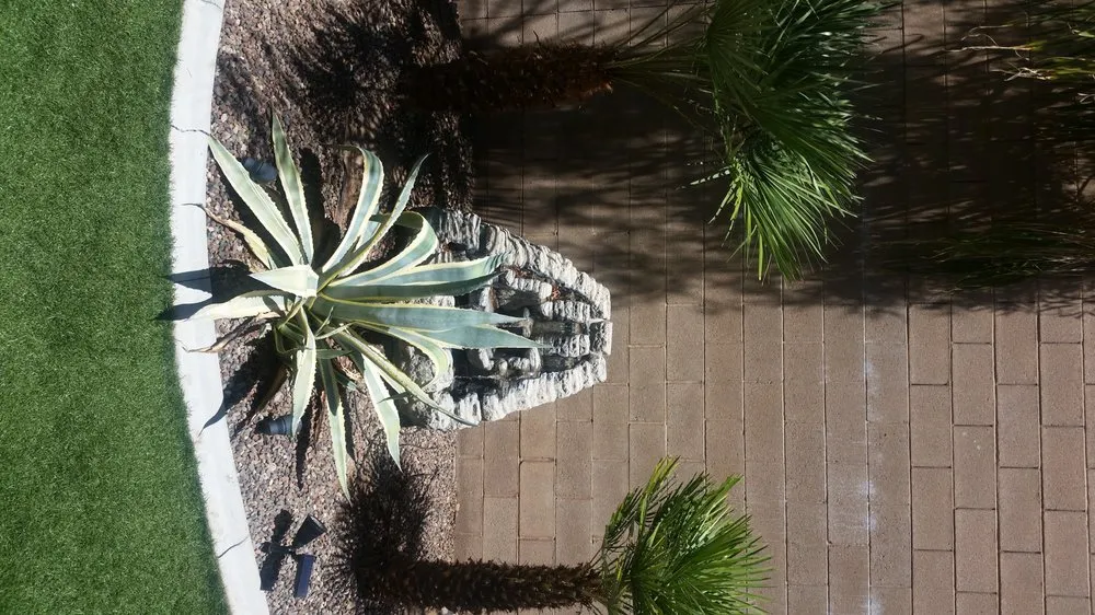 Trusted yard cleanup service in Henderson, NV - Inspirada Landscaping