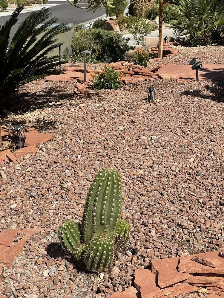 Reliable yard maintenance in Henderson, NV by Inspirada Landscaping