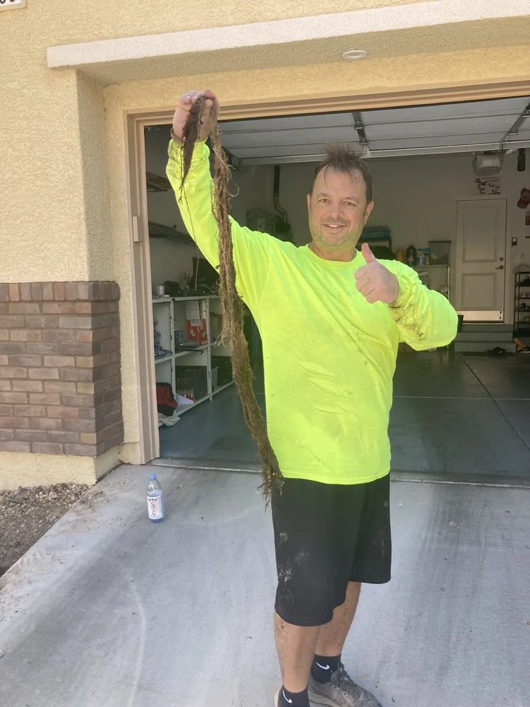 Reliable residential landscaping in Henderson, NV - Inspirada Landscaping