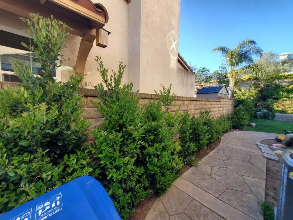 Top-rated lawn care service in Oxnard, CA - Inspiration Garden Landscape