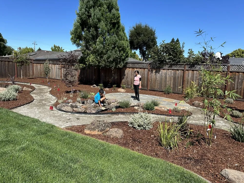 Affordable yard cleanup service in Morgan Hill, CA - Inspiration Landscape