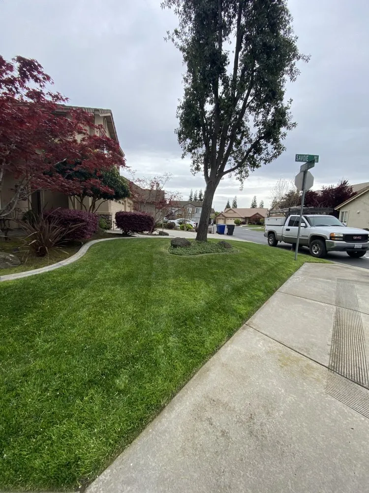 Trusted landscaping services near you in Modesto, CA by Inspiration Landscaping and Maintenance