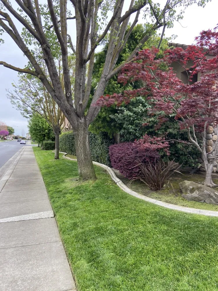 Reliable landscape design for year-round maintenance in Modesto, CA by Inspiration Landscaping and Maintenance