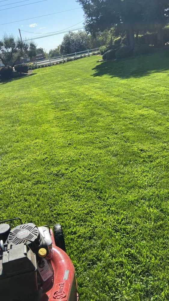 Affordable outdoor landscaping in Modesto, CA by Inspiration Landscaping and Maintenance