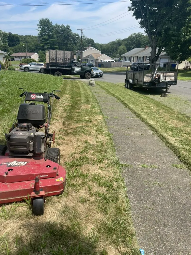 Professional yard cleanup service in East Hartford, CT - Inspiration Tree Services