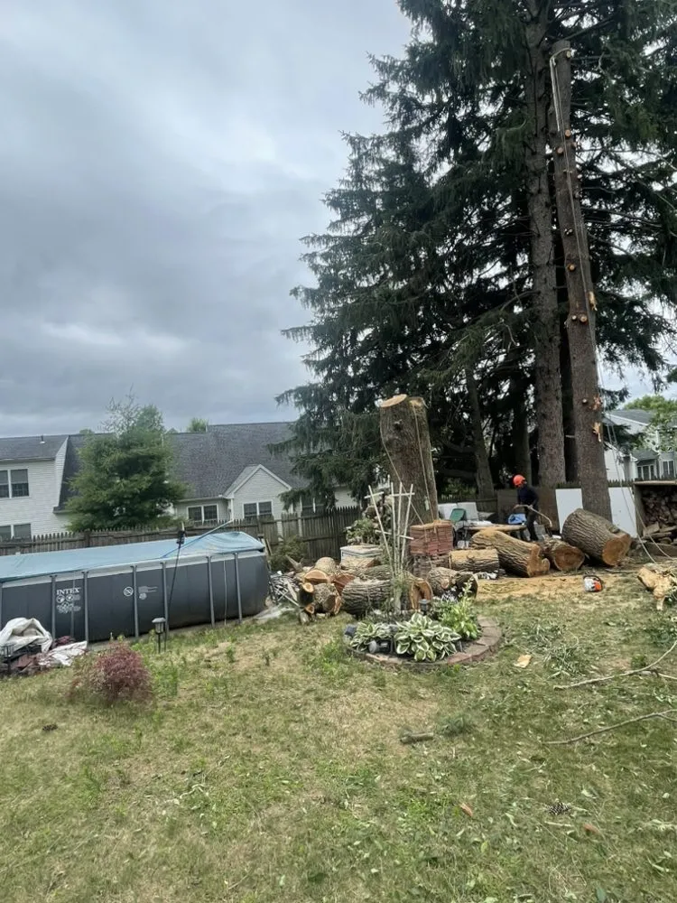 Trusted lawn mowing service for residential properties across East Hartford, CT - Inspiration Tree Services