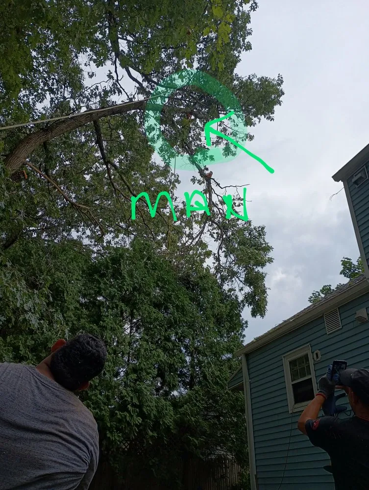 Top-rated residential landscaping for residential properties in East Hartford, CT by Inspiration Tree Services