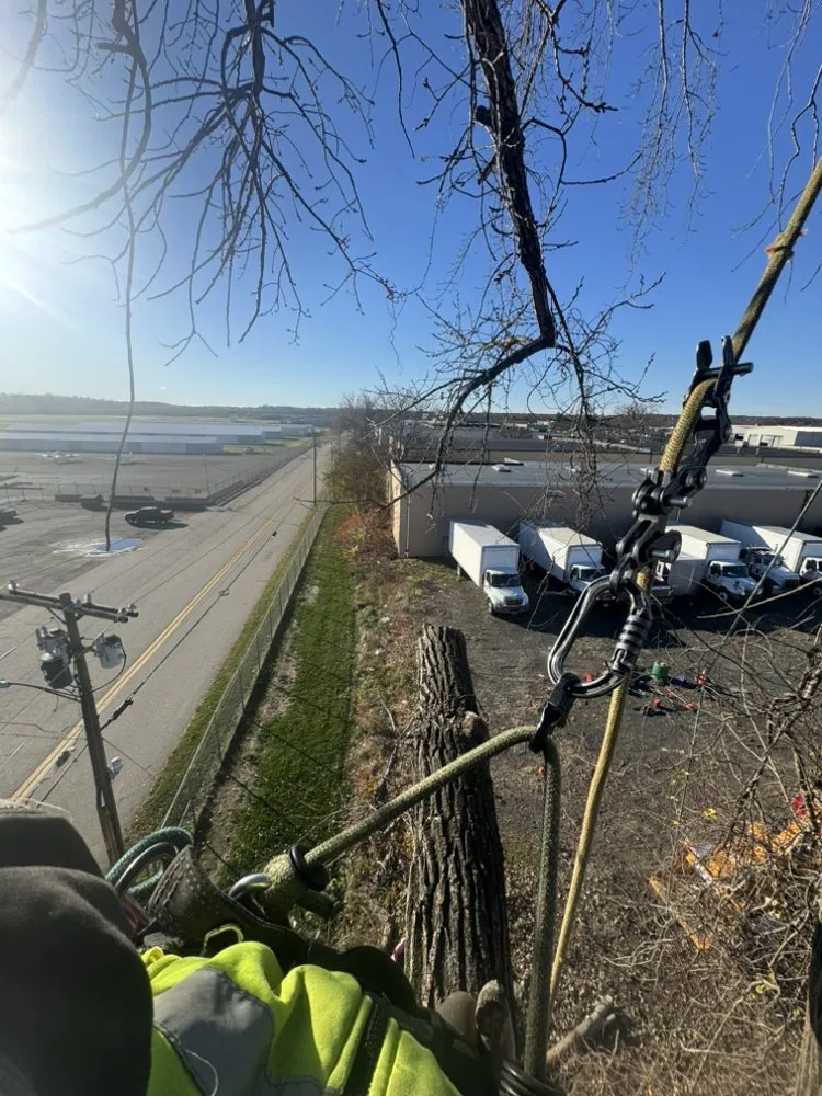 Trusted yard cleanup service for homes in East Hartford, CT by Inspiration Tree Services