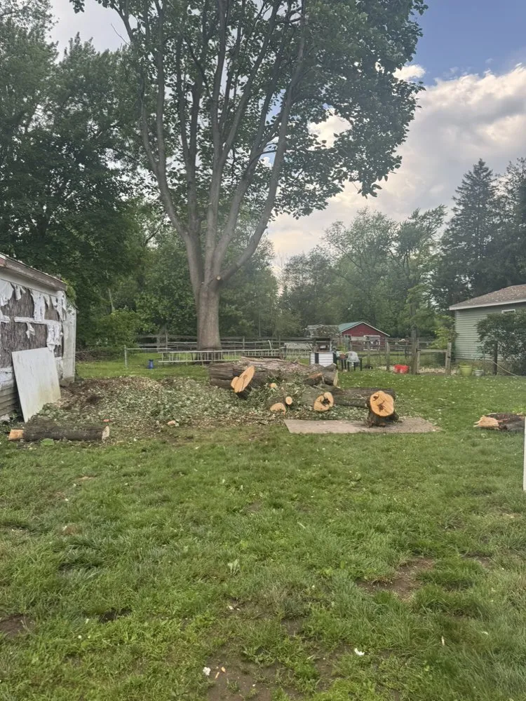 Reliable lawn care service experts serving East Hartford, CT - Inspiration Tree Services