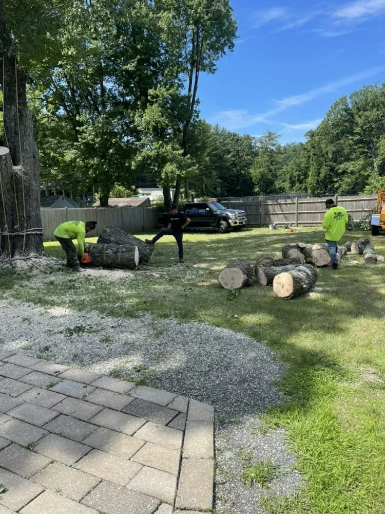 Expert yard maintenance in East Hartford, CT by Inspiration Tree Services