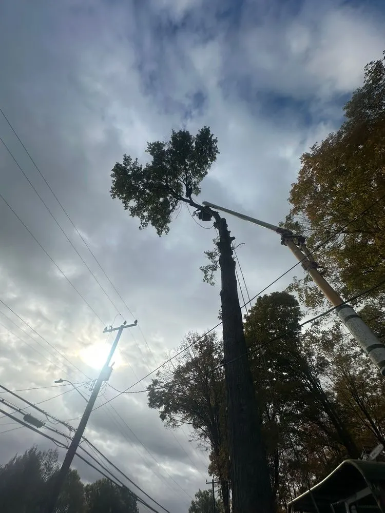 Professional outdoor landscaping in East Hartford, CT by Inspiration Tree Services