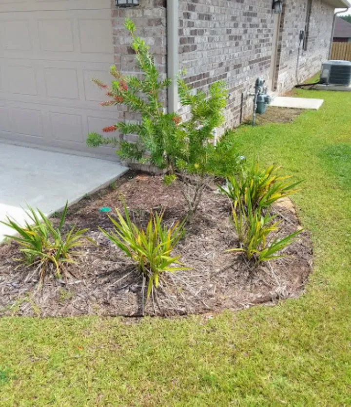 Affordable outdoor landscaping for homes across Cantonment, FL - Inspirational Lawn Care