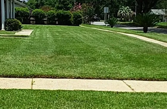 Top-rated outdoor landscaping in Cantonment, FL - Inspirational Lawn Care