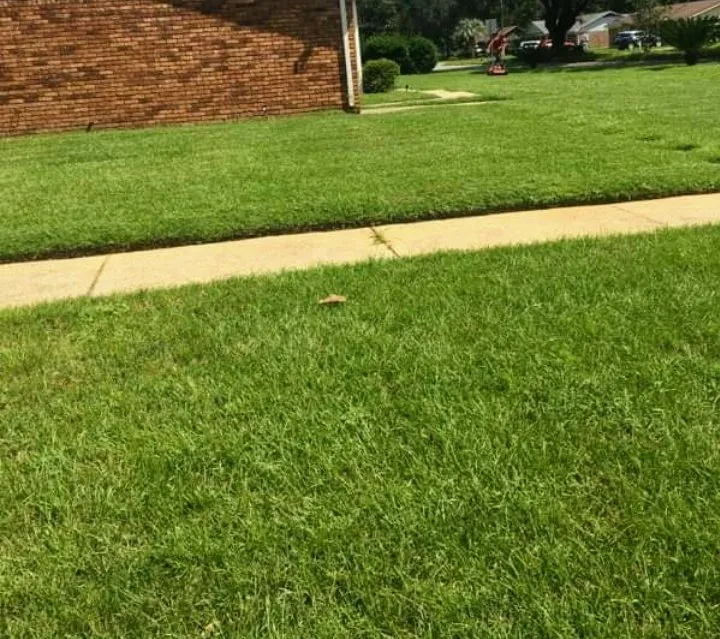 Top-rated lawn mowing service near you in Cantonment, FL by Inspirational Lawn Care