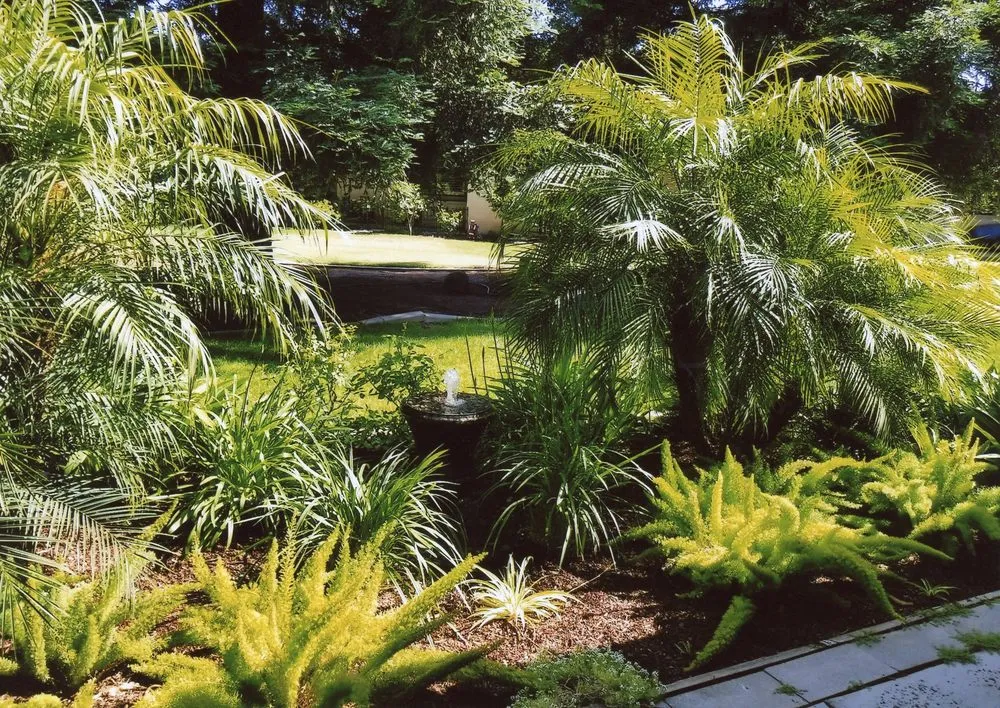 Local yard cleanup service near you across Turlock, CA - Inspirational Water Features